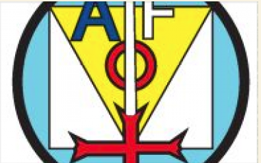 Logo Action Forces Operational AFO
