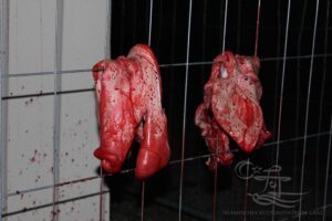 Angriff auf das Islamische Kulturzentrum Graz mit Schweineköpfen und -blut - Bildquelle: Islamische Kulturzentrum Graz