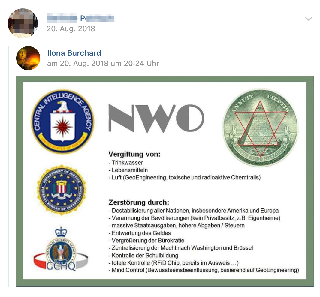 P. teilt Verschwörungspropaganda über NWO (Neue Weltordnung)(Screenshot vk.com)