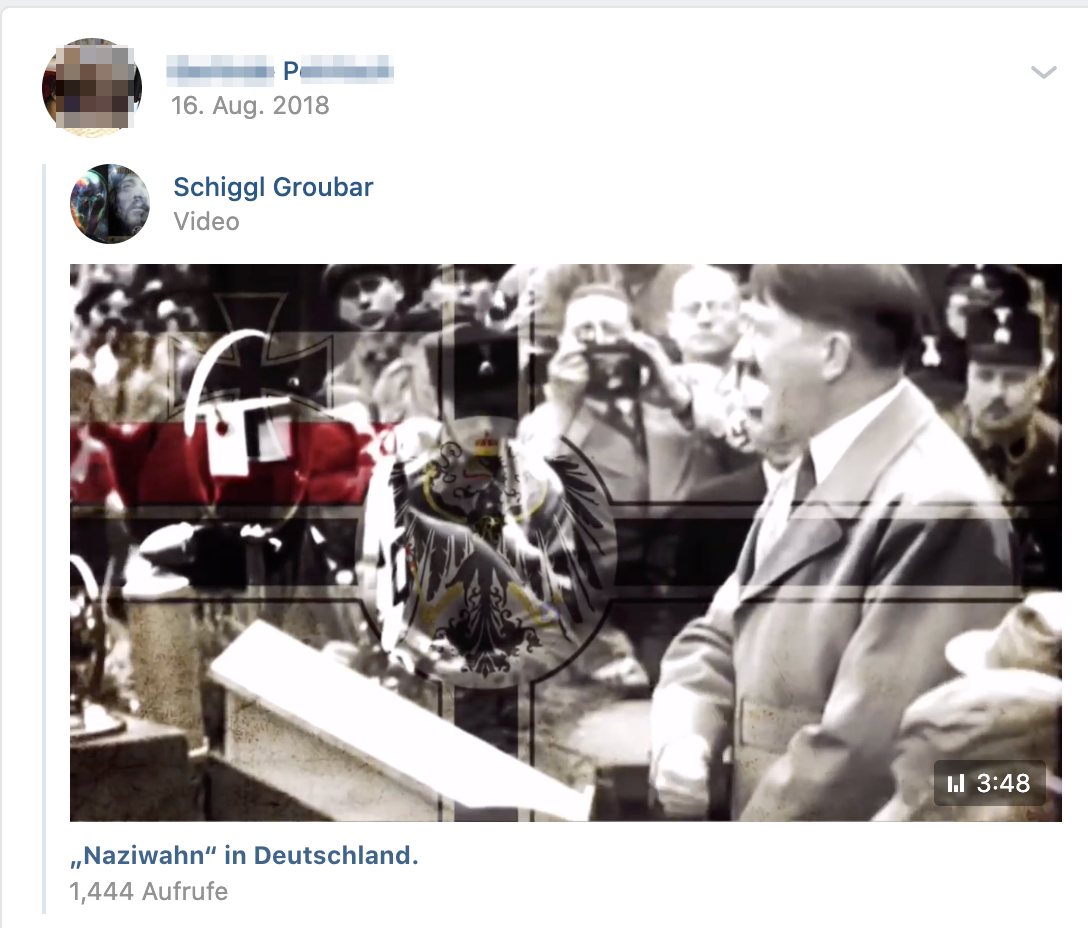 P. teilt Video von "Schigg Groubar": "Naziwahn" in Deutschland (Screenshot vk.com)
