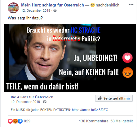 Fan-Seite "Mein Herz schlägt für Österreich": Abstimmung über Strache (Dez. 19)