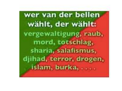 ...auch zu den Auswirkungen der VdB-Wahl äußerte sich der Lehrer für Geschichte und Politische Bildung - Bildquelle: NÖN
