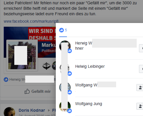 Wenn Markus Ripfl die Patrioten aus der Gruppe "FPÖ Seitenadminitratoren" um Likes für seine FB-Seite bittet, gefällt das u.a. dem FPÖ-Bezirksrat Helwig Leibinger und dem damaligen FPÖ-Gemeinderat Wolfgnag Jung