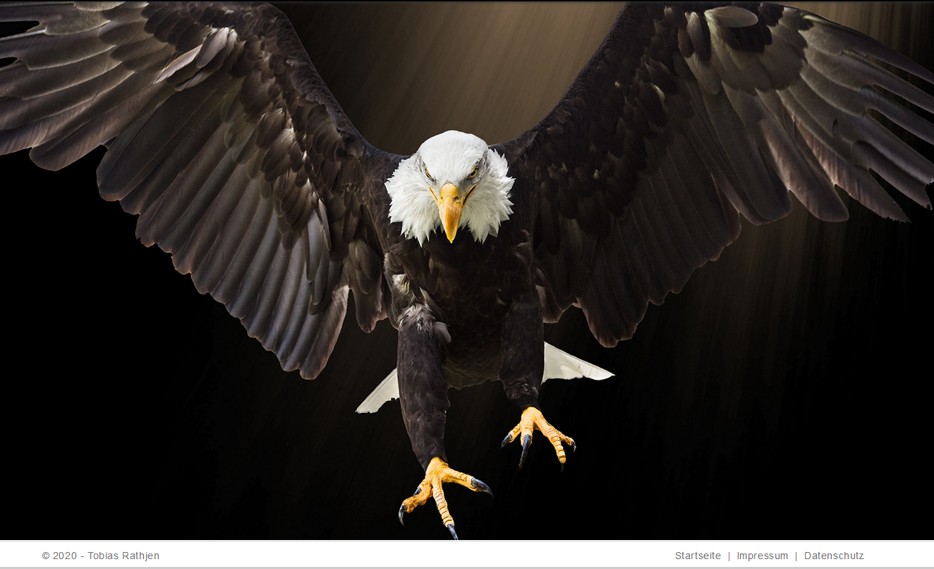 Bild eines Weißkopfseeadlers auf der Website des Hanauer Attentäters
