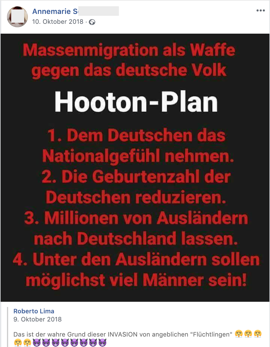 "Massenmigration als Waffe gegen das deutsche Volk. Hooton-Plan" (FB 10.10.18)