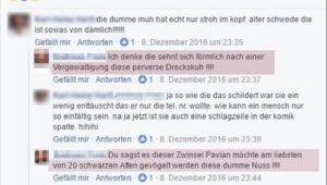 Die Kommentare des Aschbacher FPÖ-Gemeinderats gegen Alev Korun (farblich unterlegt; Screenshot FB Jänner 2017)