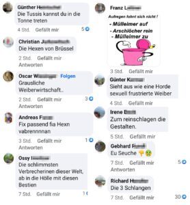 Exzessive Verbalgewalt gegen Metsola, Lagarde und von der Leyen– von "vabrenen" bis "reinschlagen": Kommentare auf der FB-Seite Harald Vilimsky (Screenshots 20.7.24)