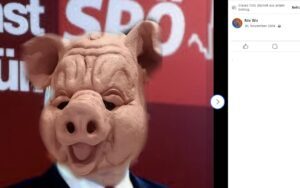Niederreiter: Montage mit Schweinekopf auf SPÖ-Politiker; vmtl. Bgm. Ludwig (Screenshot FB 30.11.24)