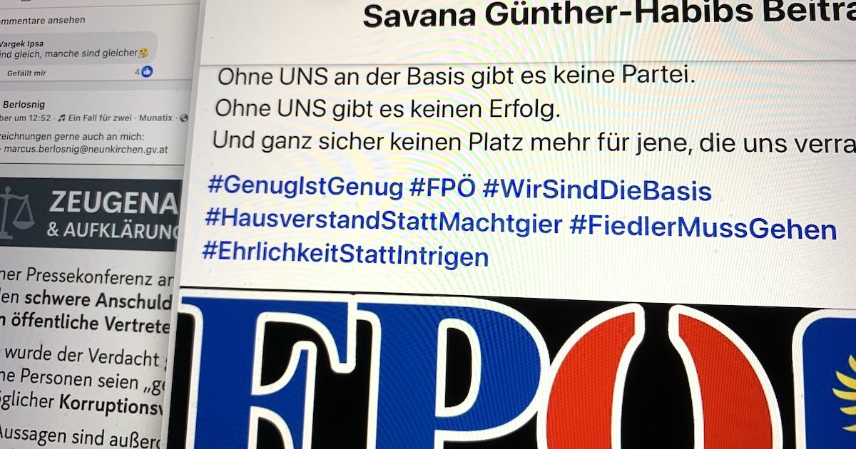 Kritik von der Basis der FPÖ Niederösterreich "Fiedler muss gehen"