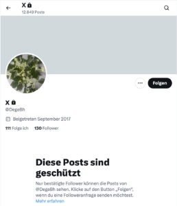 Der auf "privat" gestellte X-Account "DegeBh" (für "Gerhard Deimek Bad Hall"?): fast 13.000 Postings, nur 130 Follower (Screenshot X, 3.10.25)