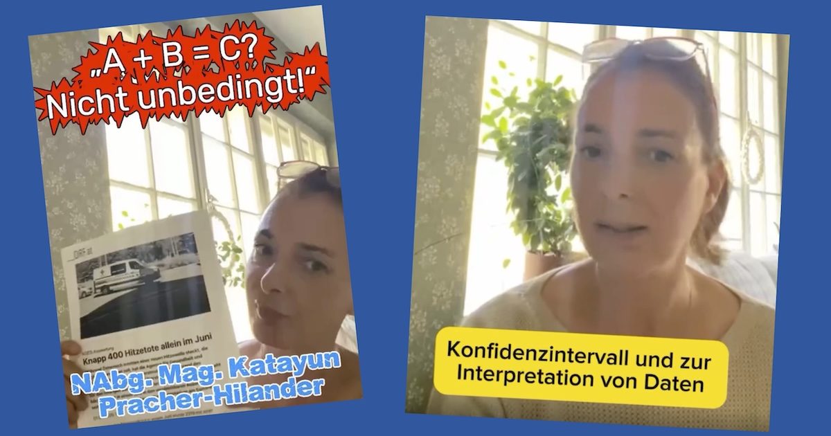 Die FPÖ NR-Abg. Katayun Pracher-Hilander raunt über Hitzetote-Statistik (Screenshots FB 4.8.26)