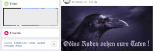 Facebook-Header von Thomas K.-C. alias Baldur Wien "Odins Raben sehen eure Taten !"