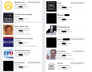 Zusammenstellung von Bernds Interessen und Freunden laut Facebook - darunter Glock, FPÖler, die Identitären und die Polizei