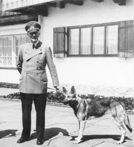 Adolf Hitler mit Blondi auf dem Berghof (Bundesarchiv_B_145_Bild-F051673-0059,_Adolf_Hitler_und_Blondi_auf_dem_Berghof)