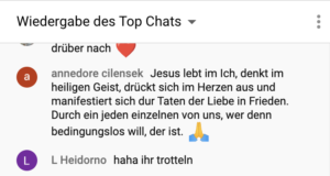 YT-Chat: "haha ihr trotteln"