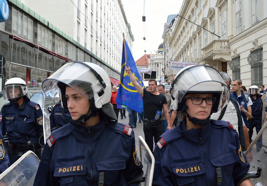 Neonazistische Europäische Aktion am "Marsch für die Familie"; <a href="https://www.flickr.com/photos/daniel-weber/14420048922/in/set-72157644761780568" target="_blank">Bildquelle Daniel Weber (Klicken für größeres Bild)