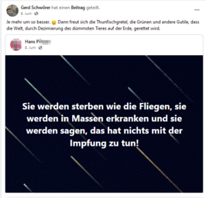 Gerd Schwörer: "je mehr [sterben] um so besser. Dann freut sich die Thunfischgretel" (Screenshot FB)