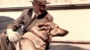 Idylle als Kontrast zum Krieg der Alliierten: Hitler mit Hund