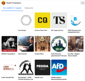 Die Likes des Rudolf P.: von Küssels Corona-Querfront über identitäre Seiten bis zu Honsik-Fanseite und Pegida (Screenshot FB-Account P.)