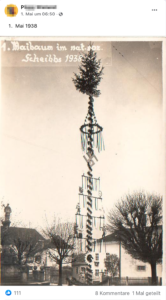 Maibaum in Scheibbs 1938 mit Hakenkreuz und Beschriftung (Screenshot FB-Gruppe Alt-Scheibbs)