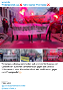 TG-Posting von "Metainfo" zur Demo Gänserndorf