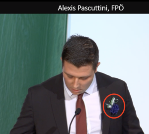 Alexis Pascuttini, neuer Klubobmann der FPÖ Graz, mit Kornblume