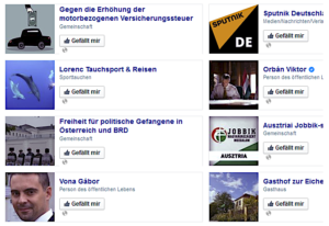 Rudolf P. Likes 2015: Neonazi-Seite "Freiheit für politische Gefangene in Österreich und BRD" (Screenshot FB-Account P. 2015)