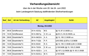 Dürre Informationen vom Landesgericht Salzburg: nur Anklageparagrafen