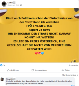 Gruppe "Widerstand Österreich": "Rinnt euch Politikern schon der Blutschweiss von der Stirn? /Kommentar: "Ich hoffe und bete, dass diesen Ratten der Hahn zugedreht wird." (Screenshot FB)