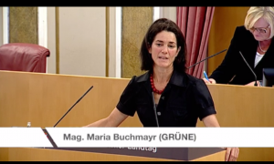 Maria Buchmayr stv. Klubobfrau und Landessprecherin, begründet im Landtag die Dringliche Anfrage