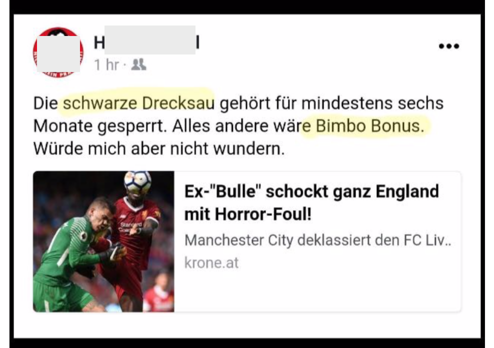 Screenshot des angzeigten Postings (Beispiel für mutmaßliche Verhetzung)