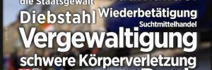 Delikte der rechtskräftig verurteilten Identitären (Screenshot ZiB 2, 11.4.19)