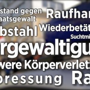 Delikte der rechtskräftig verurteilten Identitären (Screenshot ZiB 2, 11.4.19)