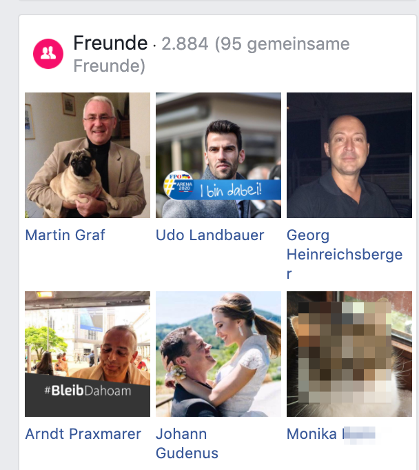Die FB-Freunde des Andreas P.: (u.a.) Martin Graf, Udo Landbauer, Georg Heinreichsberger, Arndt Praxmarer, Johann Gudenus