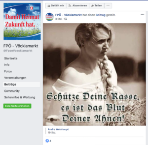 Posting FPÖ-Vöcklamarkt