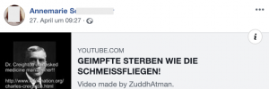 Tonalität auf FB-Account von S.: Verschwörungstheorien